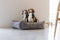 Designed by Lotte Ribbed - Hondenmand - Premium ribstof - Bruin - 95x80x23 cm