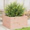 vidaXL - Plantenbak - 80x80x46 - cm - massief - douglashout