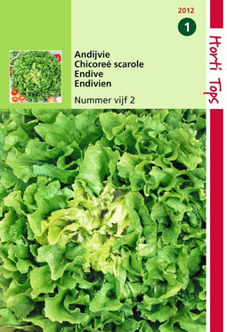 2 stuks Hortitops Andijvie Nummer Vijf 2