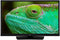 Lenco LED-2463BK (V2) - Android Smart TV - 24