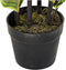 Decoratieve plant DKD Home Decor Polyethyleen Stads 40 x 40 x 90 cm