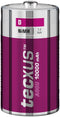 Tecxus D (Mono)/HR20 - 10000 mAh - Nickel Metal Hydride battery (NiMH), 1.2 V
