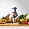 Tefal Slowjuicer - Infiny Juice ZC255B
