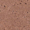 Tegel Roodbruin oud hollands 100 x 100 x 5 cm