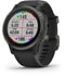 Garmin fenix 6S Sapphire - Smartwatch - GPS met TopoActive kaarten - Grijs (Zwart)
