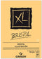 Tekenblok Canson XL Bristol A3 50v 180gr | 5 stuks
