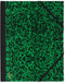 Tekenmap Canson studio 61x81cm 2 elastieken groen