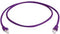 Telegärtner 100008035 RJ45 Netwerkkabel, patchkabel CAT 6A S/FTP 0.25 m Violet UL gecertificeerd, Vlambestendig, Snagle