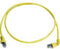Telegärtner 100008492 RJ45 Netwerkkabel, patchkabel CAT 6A S/FTP 3.00 m Geel Vlambestendig, Halogeenvrij 1 stuk(s)