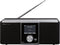 Telestar S 20 compacte DAB+ stereo radio met FM