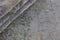 Temptation 6705 Vloerkleed - 170x240 - Rechthoek - Laagpolig Tapijt - Landelijk - Meerkleurig