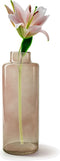 Jodeco Bloemenvaas Willem - transparant beige glas - 11,5 x 32 cm - fles vorm vaas