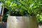 Ter Steege Bloempot Aluminium Goud D 60 cm H 62 cm