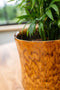 Ter Steege Bloempot Geglazuurd Geel-Caramel D 17 cm H 15 cm Opening 15 cm