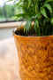 Ter Steege Bloempot Geglazuurd Geel-Caramel D 21 cm H 20 cm Opening 18.5 cm
