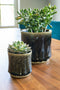 Ter Steege Bloempot Geglazuurd Groen-Multicolour D 17 cm H 15 cm Opening 15 cm