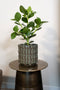 Ter Steege Bloempot Groen D 18 cm H 17 cm