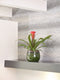 Ter Steege Bloempot Groen D 19 cm H 16 cm