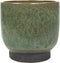 Ter Steege Bloempot Groen D 21 cm H 21 cm