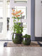 Ter Steege Bloempot Groen D 33 cm H 30 cm
