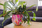 Ter Steege Bloempot Metaal Fuchsia-Multicolour D 33 cm H 28 cm