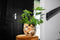 Ter Steege Bloempot Metaal Multicolour D 28 cm H 25 cm