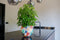 Ter Steege Bloempot Metaal Multicolour D 28 cm H 25 cm