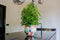 Ter Steege Bloempot Metaal Multicolour D 28 cm H 25 cm