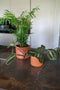 Ter Steege Bloempot Oranje D 21 cm H 19 cm Opening 18,5 cm