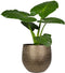 Ter Steege Plantenpot/bloempot - keramiek - metal goud - 31 x 28 cm