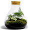 Terrarium | Glas met kurk | 3 botanische planten |↑35cm - Ø30cm