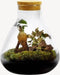 Terrarium | Glas met kurk | 3 botanische planten |↑35cm - Ø30cm