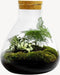 Terrarium | Glas met kurk | 3 botanische planten |↑35cm - Ø30cm
