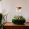Terrarium | Glas met kurk | 3 botanische planten |↑35cm - Ø30cm