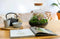Terrarium | Glas met kurk | 3 botanische planten |↑35cm - Ø30cm