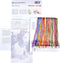 Thea Gouverneur - Borduurpakket met telpatroon - 554A - Voorgesorteerde DMC Garens - Amerikaanse Wilde Bloemen - Aida - 50 cm x 67 cm - DIY Kit