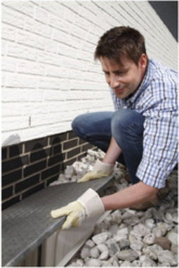 tesa Insect stop Lichtschachtrooster 1 stuk(s)