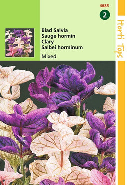 2 stuks Salvia Horminum Tricolor Gemengd