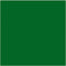 Textile Color Grass Green 50ml