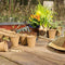 Kweekpotten in set, biologisch afbreekbaar, voor planten, 80 stuks plantenpotten, cellulose, rond, 8