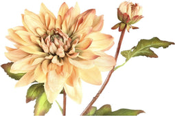 PTMD Dahlia Kunstbloem - 25 x 30 x 75 cm - Kunststof - Roze