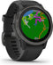 Garmin fēnix 6S Sapphire - Smartwatch - GPS multi-sport met muziek - Grijs (Zwart)