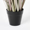 Mica Decorations Dogtail - Kunstplant Pluimgras - H53 x Ø30 cm - Paars