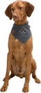 Trixie Bandana Be Nordic Windroos Grijs