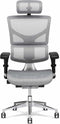 X-Chair bureaustoel X2 Zwart