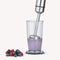 Severin SM 3773 - Staafmixer - 1.000 W - Roestvrij staal