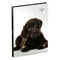 Agenda 2023 110x150 My Favourite Friends 7dagen/2pagina's PUPPIE