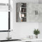 vidaXL - Hangkast - Riga - 20x29,5x60 - cm - bewerkt - hout - betongrijs