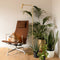 Atmooz - Vloerlamp Pomery - Goud Brons - Staande Lamp - Stalamp - Woonkamer - Goud Brons - Hoogte 146cm - Metaal