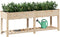 vidaXL - Tuinplanter - met - Plank - 203x53x76 - cm - Massief - Hout - Vuren